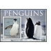 Фауна Пингвины